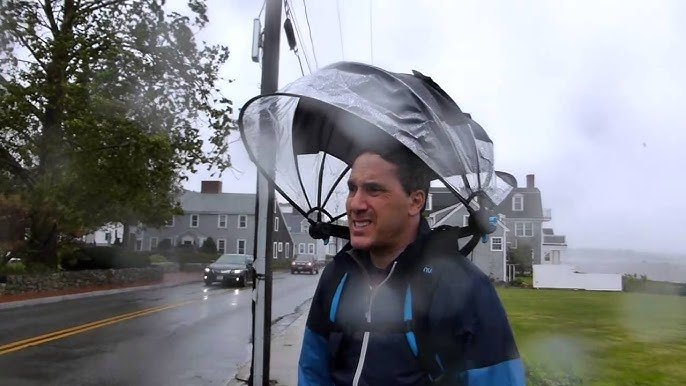nubrella shark