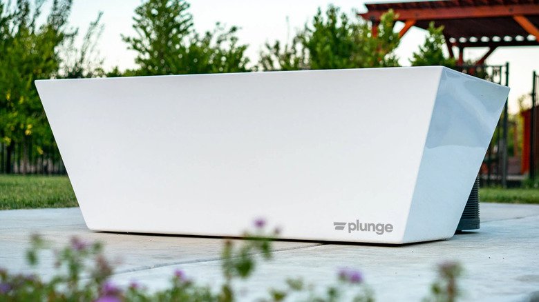 Plunge