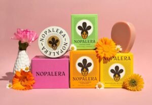 Nopalera Shark Tank Journey: From Net Worth to Latest Updates