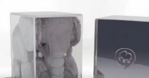 Elephant Chat Shark Tank Journey: From Net Worth to Latest Updates