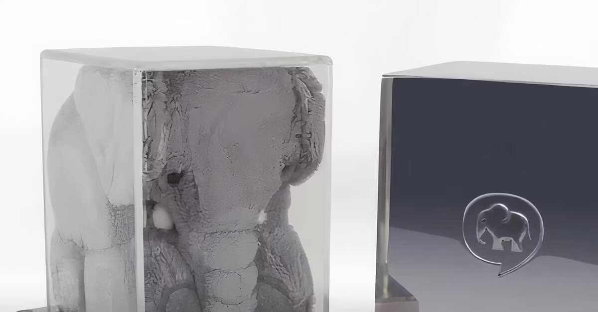 Elephant Chat Shark Tank Journey: From Net Worth to Latest Updates