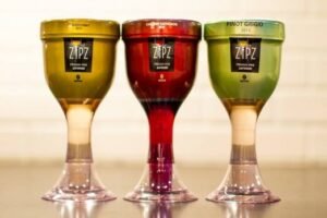 Zipz Shark Tank Journey: From Net Worth to Latest Updates