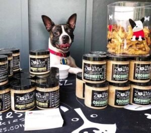 Zookies Cookies Shark Tank Journey: From Net Worth to Latest Updates
