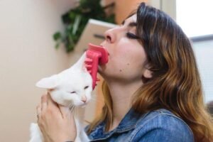 PDX Pets Shark Tank Journey: From Net Worth to Latest Updates